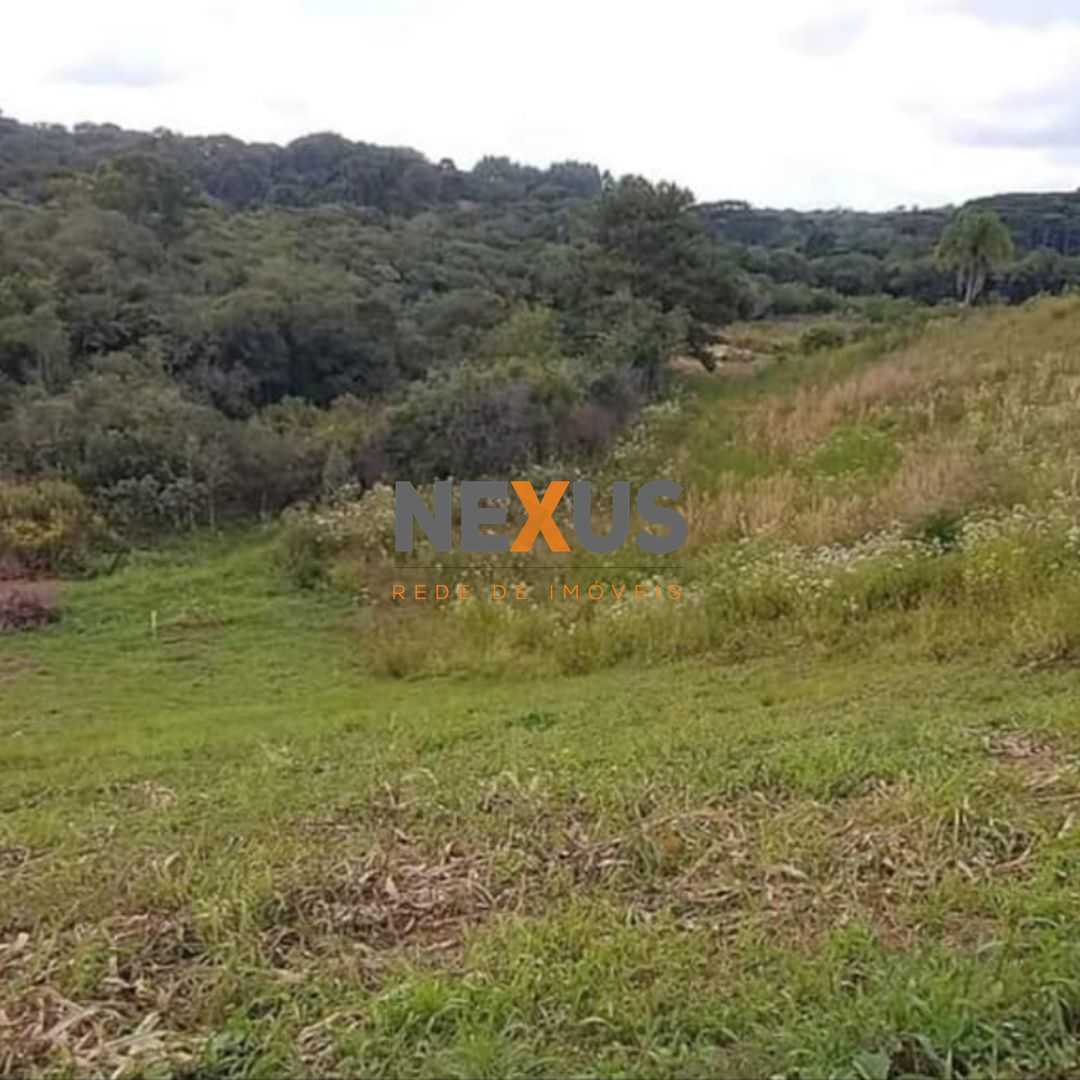 Área de 7.000m  em Contenda  Refúgio com Bosque, Córrego e Nat...