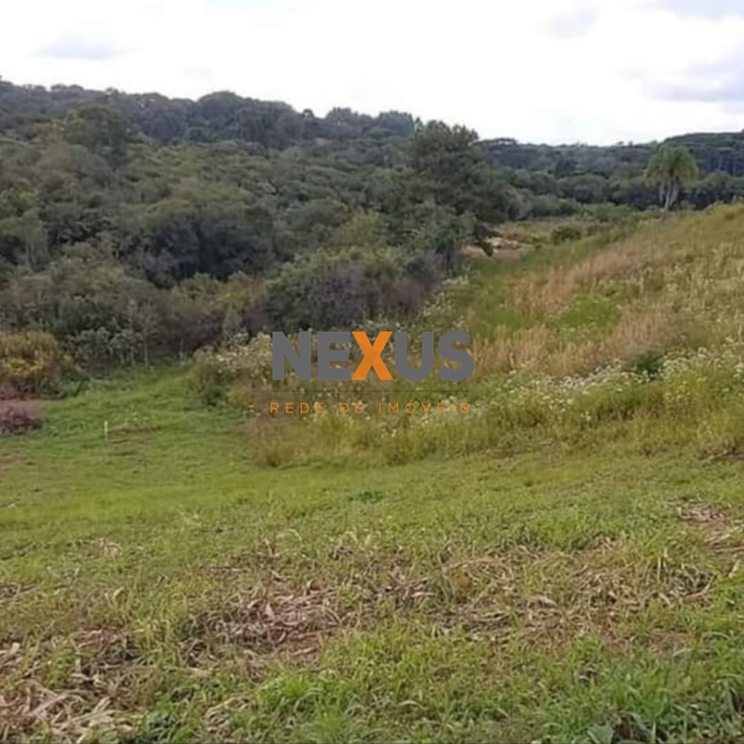 Área de 7.000m  em Contenda  Refúgio com Bosque, Córrego e Nat...