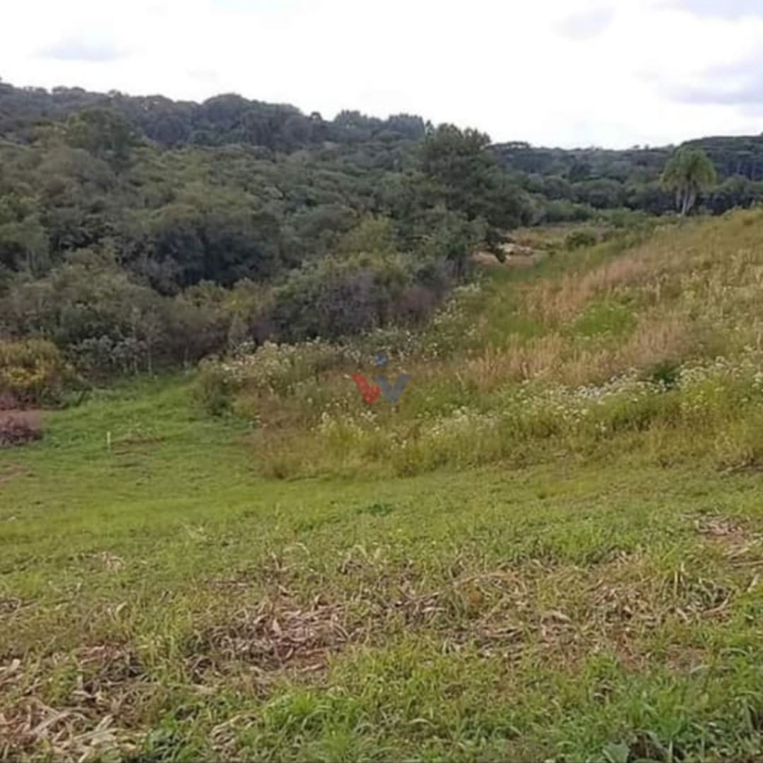 Área de 7.000m  em Contenda  Refúgio com Bosque, Córrego e Nat...