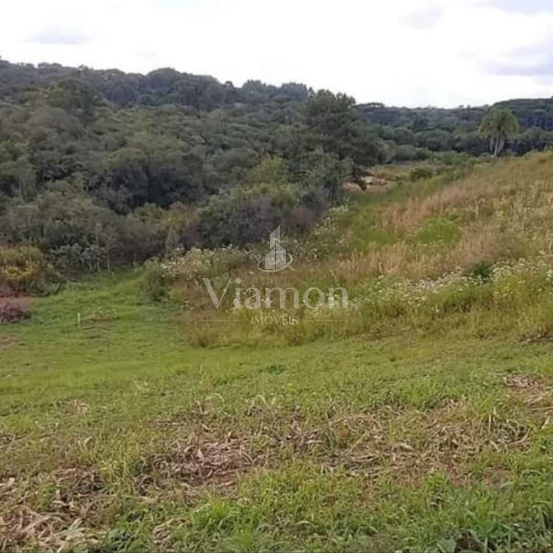 Área de 7.000m  em Contenda  Refúgio com Bosque, Córrego e Nat...