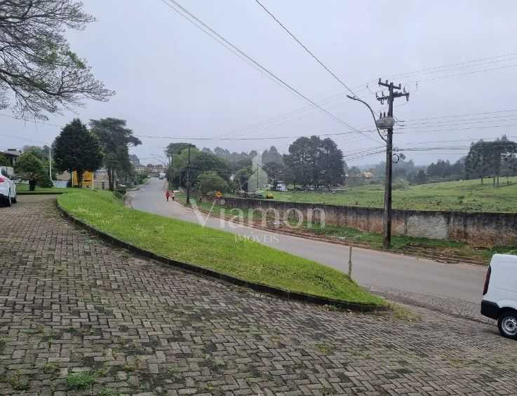 Terreno de 49.000 m  para Construtoras  Ideal para Projetos MCMV