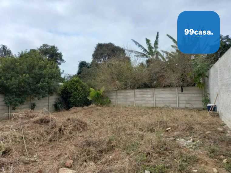 Lote Plano e Murado de 15x50m no Atuba  Pronto para Construir