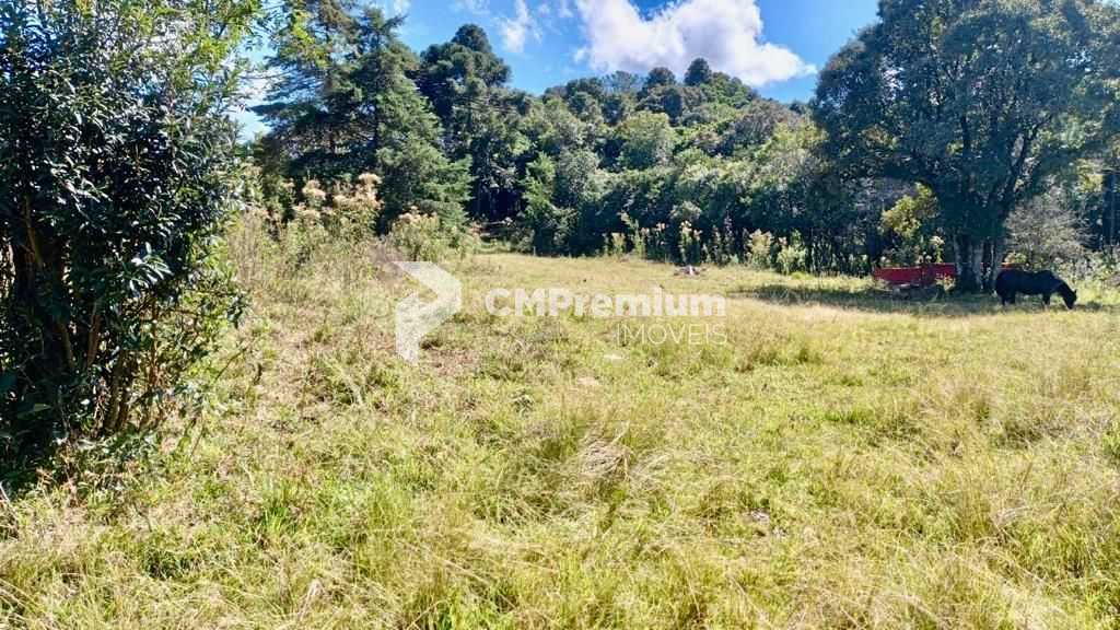 Chácara de 22.290m  em Campo Largo  Refúgio no Campo com Fácil...