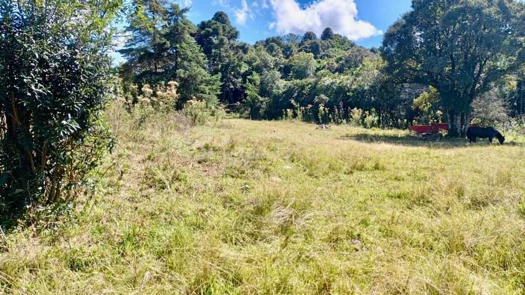 Chácara de 22.290m  em Campo Largo  Refúgio no Campo com Fácil...