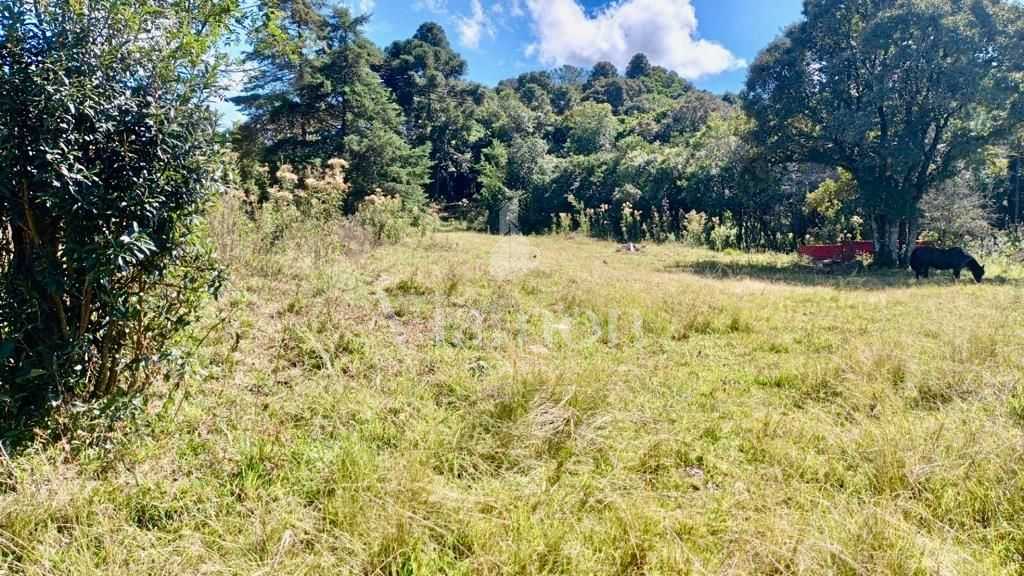 Chácara de 22.290m  em Campo Largo  Refúgio no Campo com Fácil...