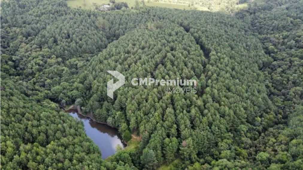 Fazenda Reflorestada de 111,6 Hectares em Arapoti PR  Investim...
