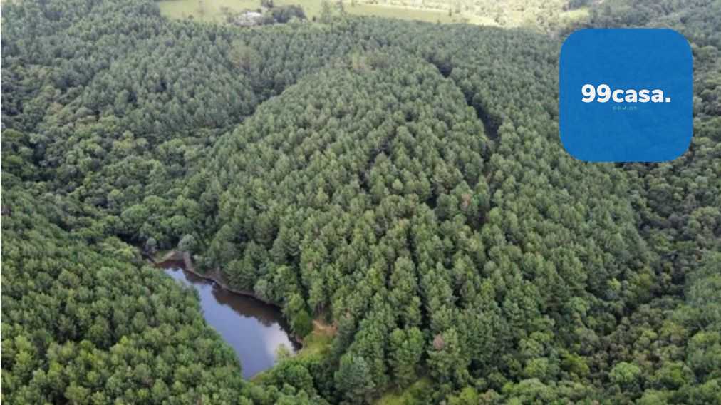 Fazenda Reflorestada de 111,6 Hectares em Arapoti PR  Investim...