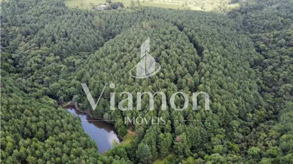 Fazenda Reflorestada de 111,6 Hectares em Arapoti PR  Investim...