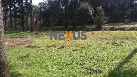 Área com potencial construtivo em Campo Largo. Venha conferir ...