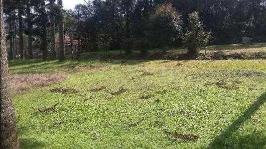 Terreno à Venda com Mina dÁgua e Potencial de Construção, Opo...