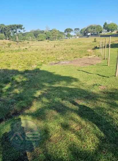 Terreno de 49.000 m  para Construtoras  Ideal para Projetos MCMV