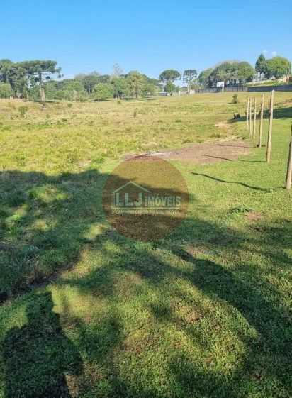 Terreno de 49.000 m  para Construtoras  Ideal para Projetos MCMV