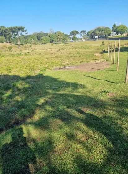 Terreno de 49.000 m  para Construtoras  Ideal para Projetos MCMV