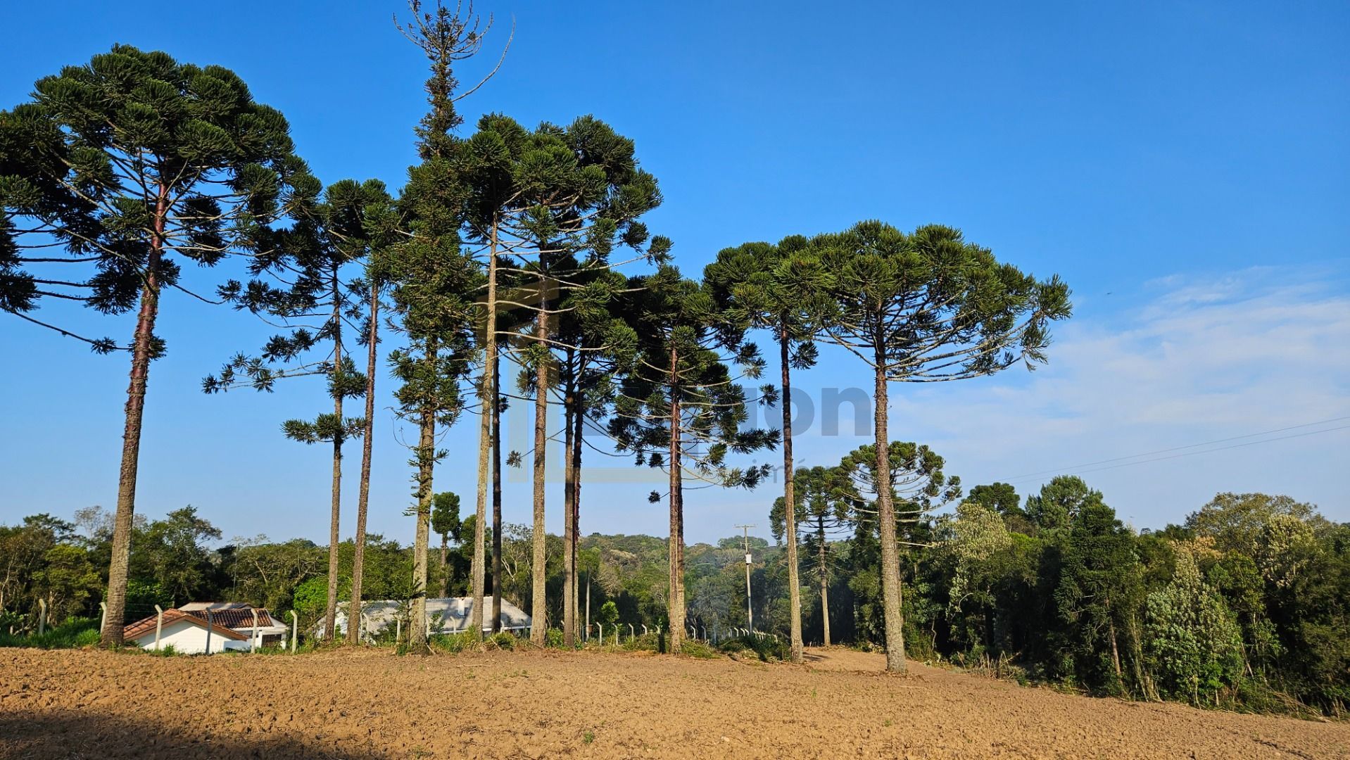 Chácara com Hortas, Parreiral e Árvores Frutíferas a 10 km da BR