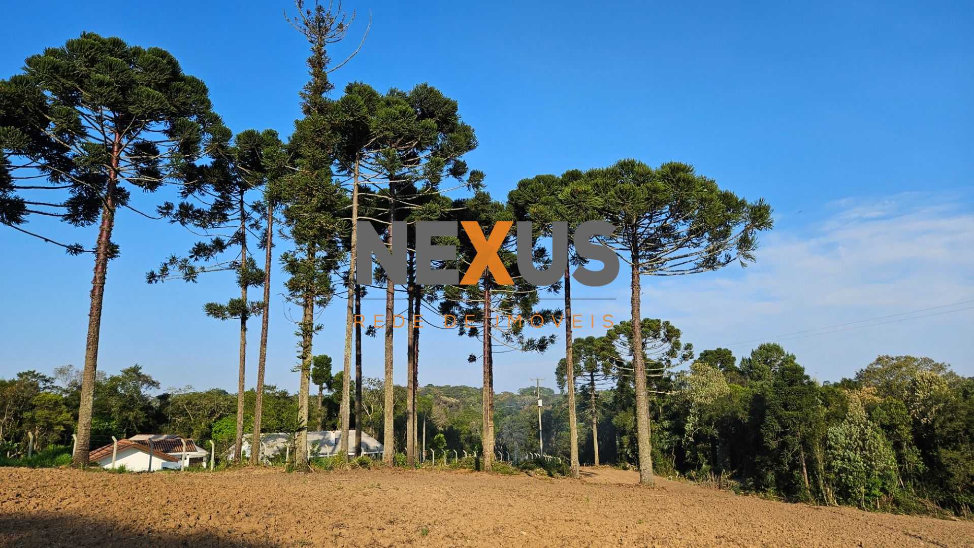 Chácara com Hortas, Parreiral e Árvores Frutíferas a 10 km da BR