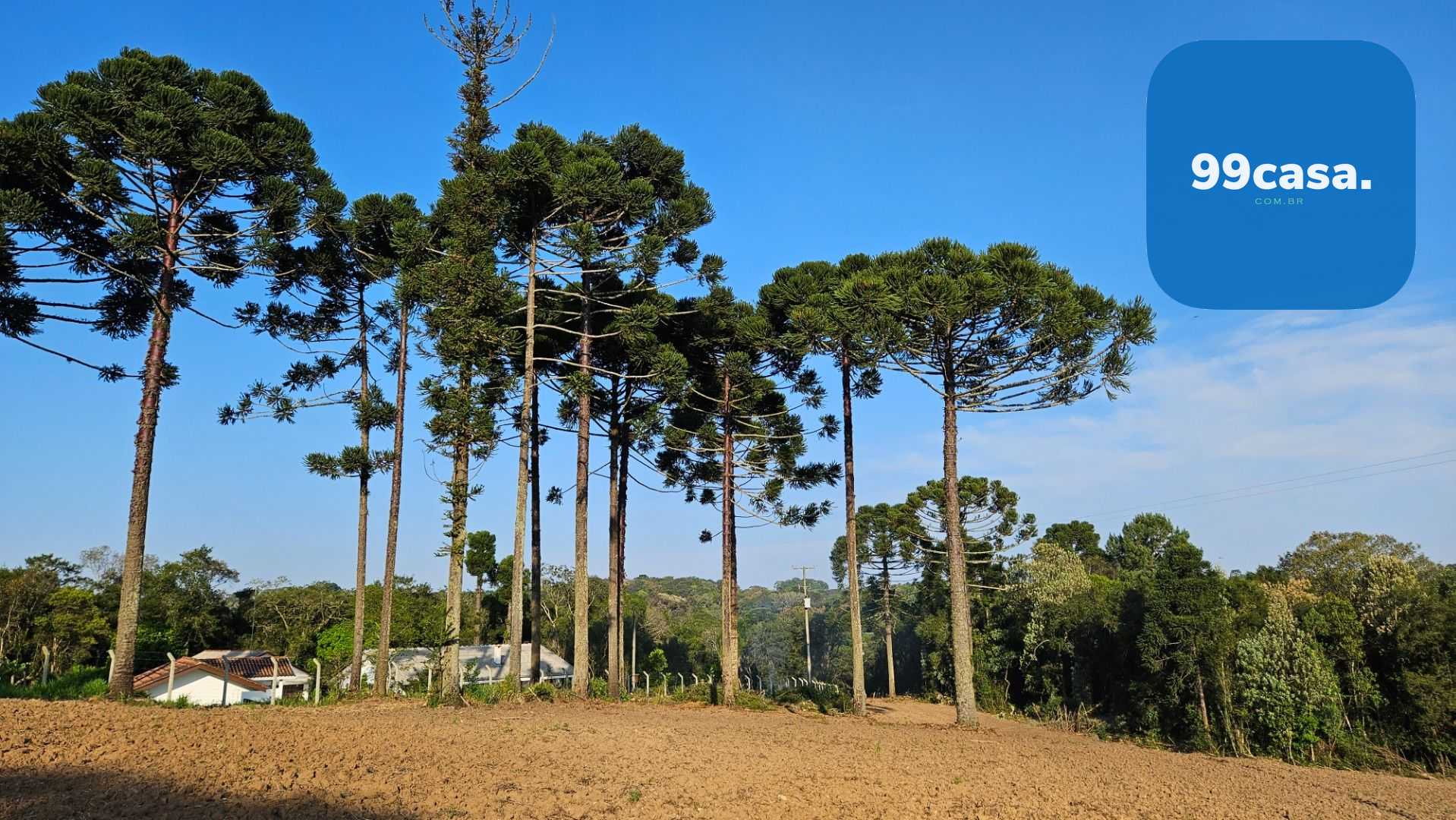 Chácara com Hortas, Parreiral e Árvores Frutíferas a 10 km da BR