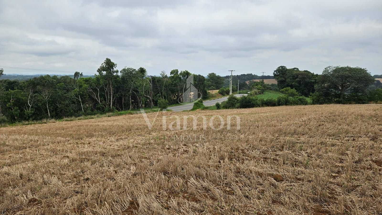 Terreno de 84.700 m  em Araucária  Ideal para loteamento ou co...
