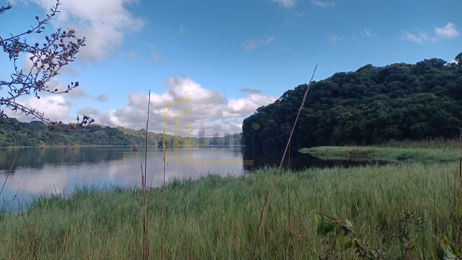 Chácara em Araucária com nascente, represa e natureza exuberan...