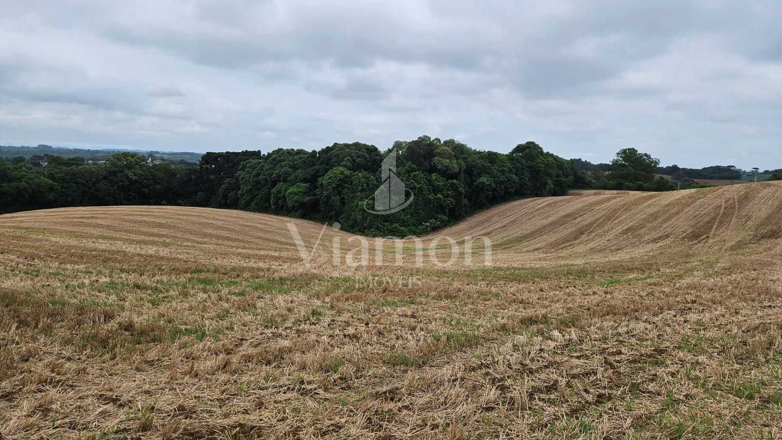 Terreno de 67.700 m  em Araucária  Ideal para loteamento ou co...