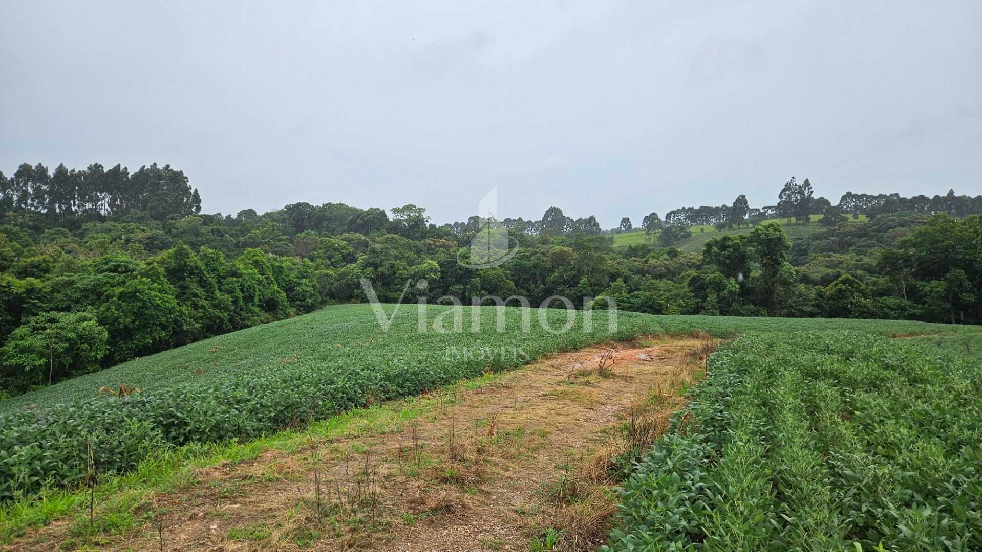 Área de 79.000 m  com 41.000 m  mecanizados  perfeita para cul...