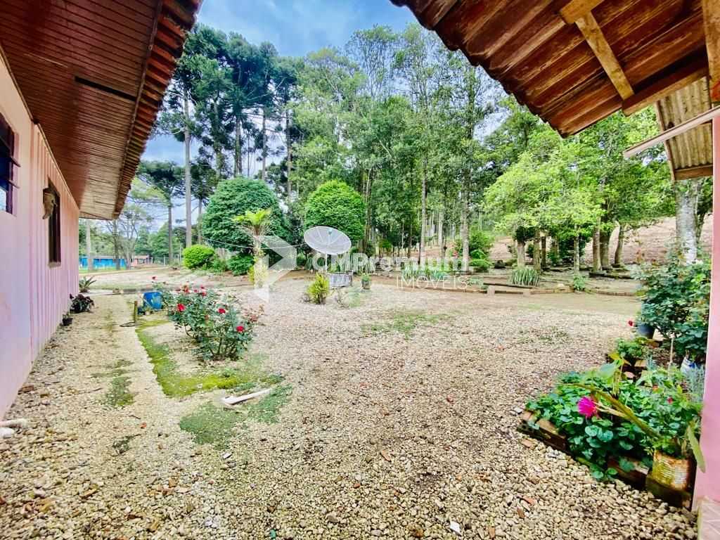 Chácara com Hortas, Parreiral e Árvores Frutíferas a 10 km da BR