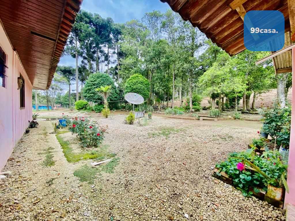 Chácara com Hortas, Parreiral e Árvores Frutíferas a 10 km da BR