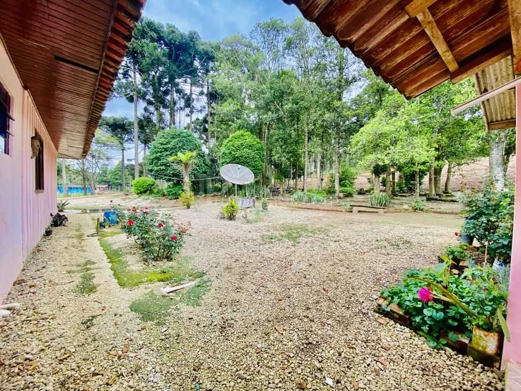 Chácara com Hortas, Parreiral e Árvores Frutíferas a 10 km da BR