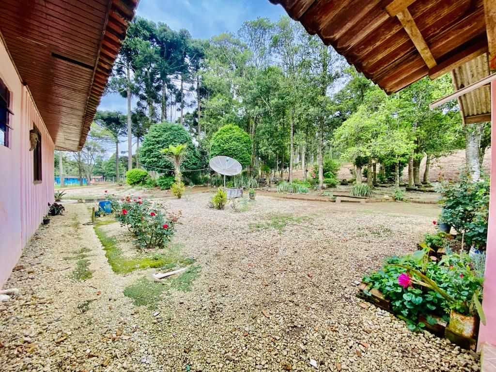 Chácara com Hortas, Parreiral e Árvores Frutíferas a 10 km da BR