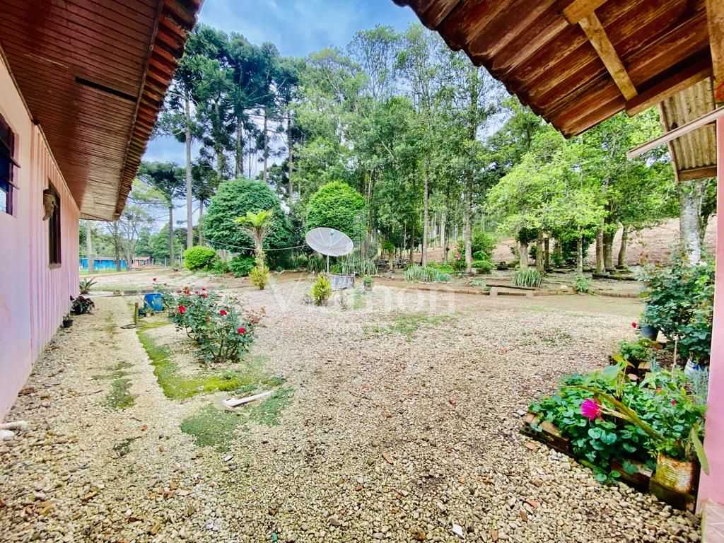 Chácara com Hortas, Parreiral e Árvores Frutíferas a 10 km da BR