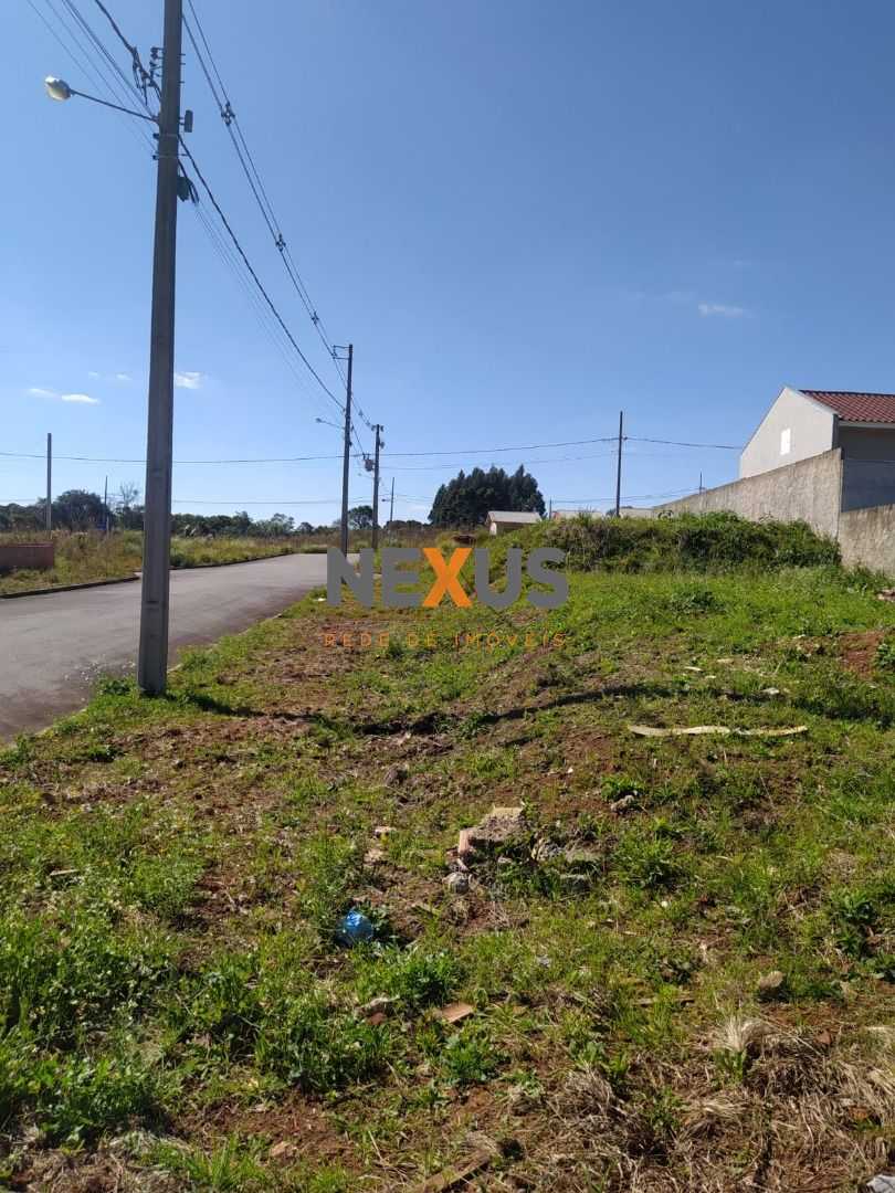 Terreno 180m² à venda em área alta com fácil acesso a Curitiba...