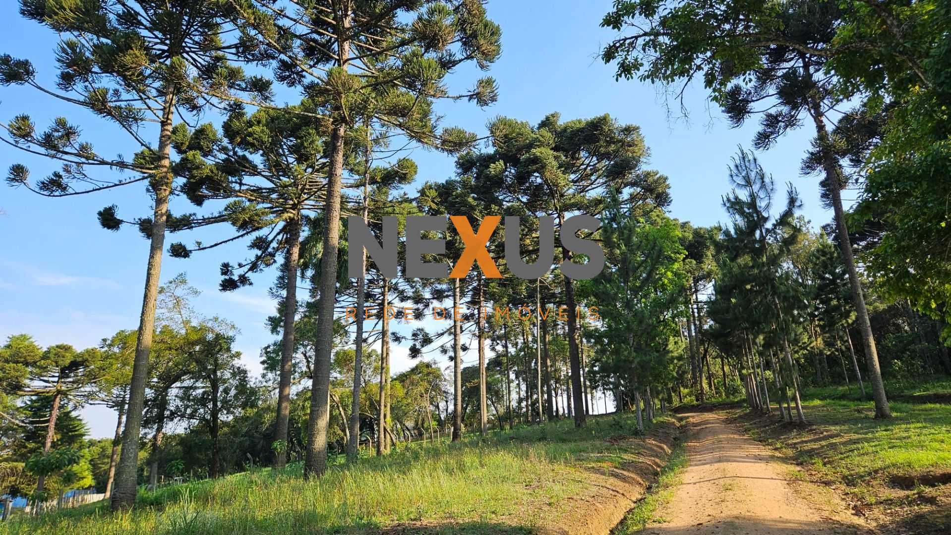 Chácara com Hortas, Parreiral e Árvores Frutíferas a 10 km da BR