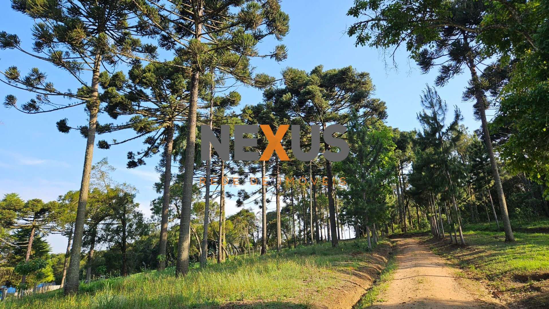 Chácara com Hortas, Parreiral e Árvores Frutíferas a 10 km da BR