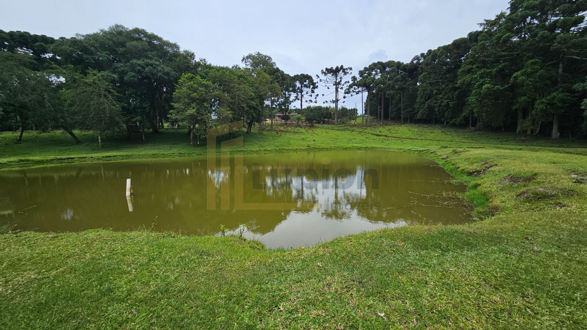Sitio com 10 alqueires, 254.100m , tanques de peixe, rios,  Ar...