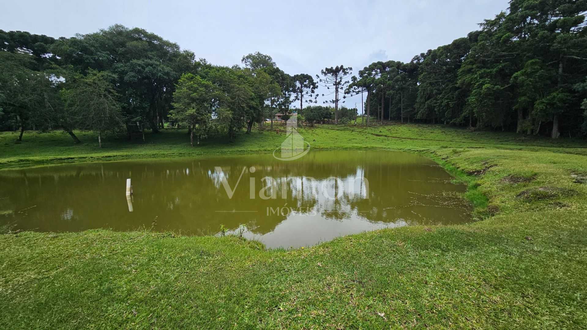 Propriedade rural com 254.100m , casas, tanques de peixe, poma...