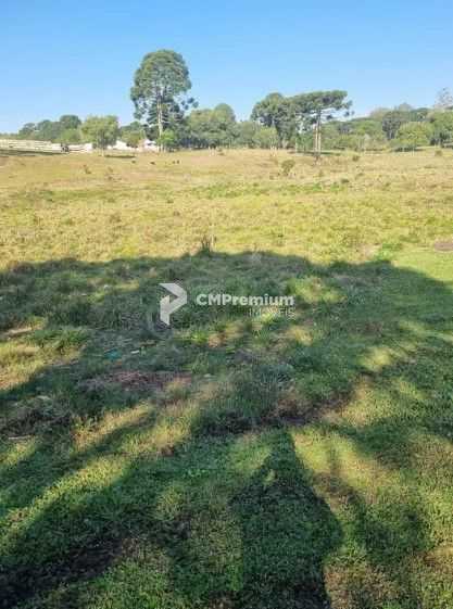 Terreno de 49.000 m  para Construtoras  Ideal para Projetos MCMV