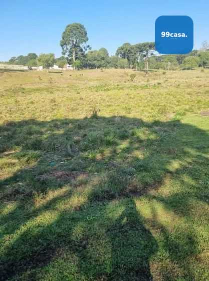 Terreno de 49.000 m  para Construtoras  Ideal para Projetos MCMV