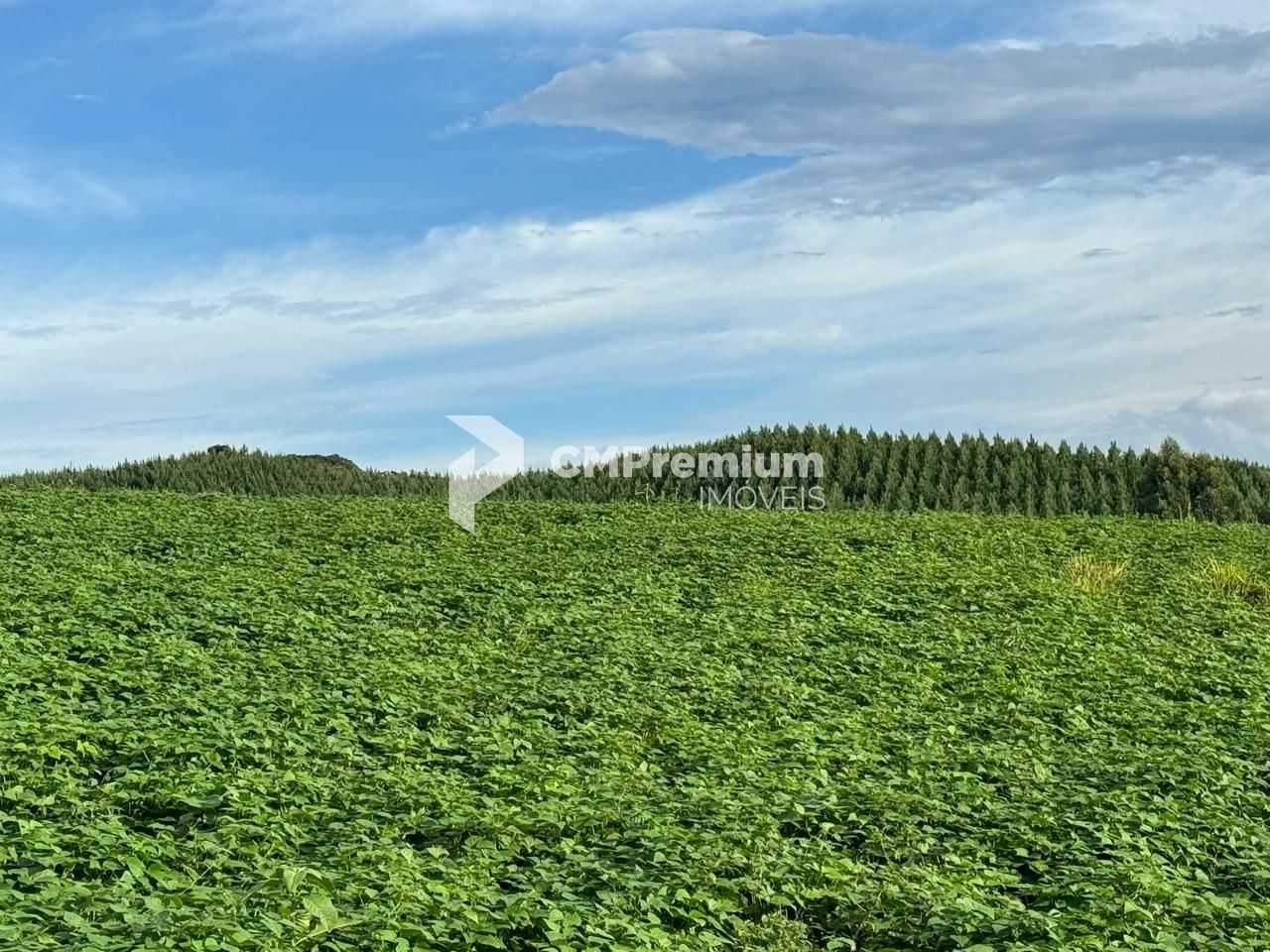 Chácara Completa com Casa, Varanda Gourmet, Tanques de Peixe, ...