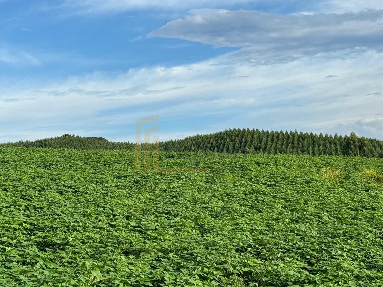 Chácara Completa com Casa, Varanda Gourmet, Tanques de Peixe, ...