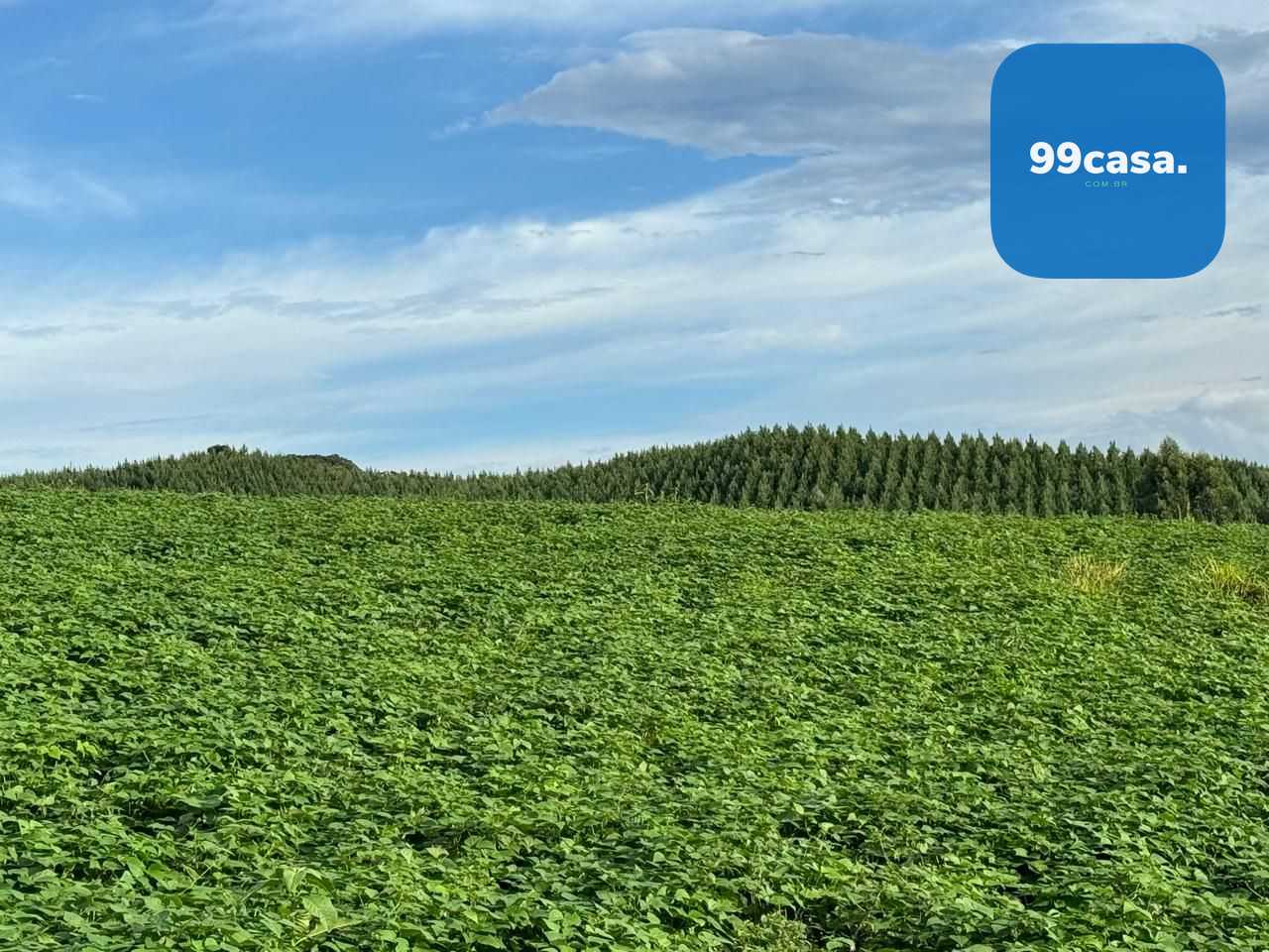 Chácara Completa com Casa, Varanda Gourmet, Tanques de Peixe, ...