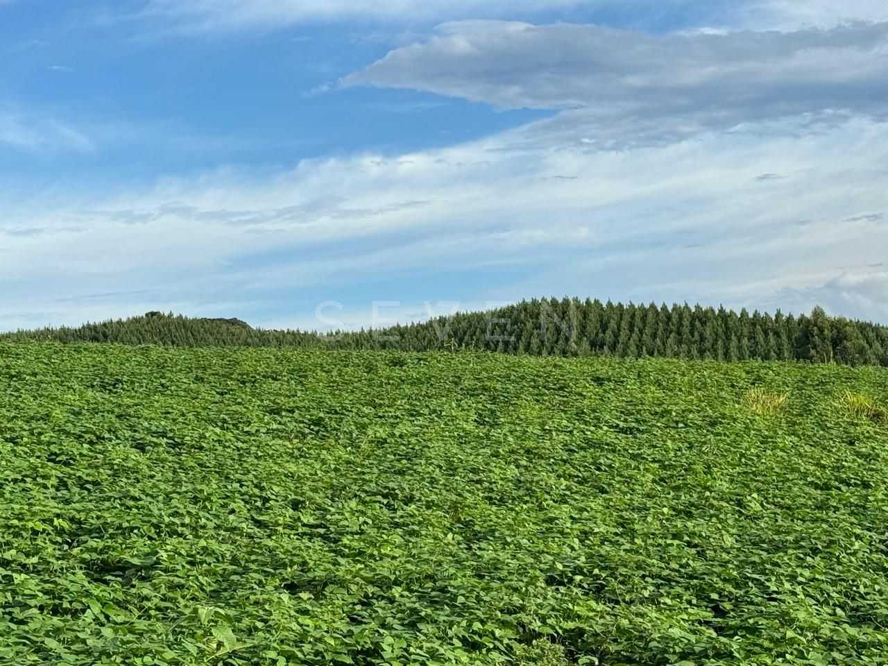 Chácara Completa com Casa, Varanda Gourmet, Tanques de Peixe, ...