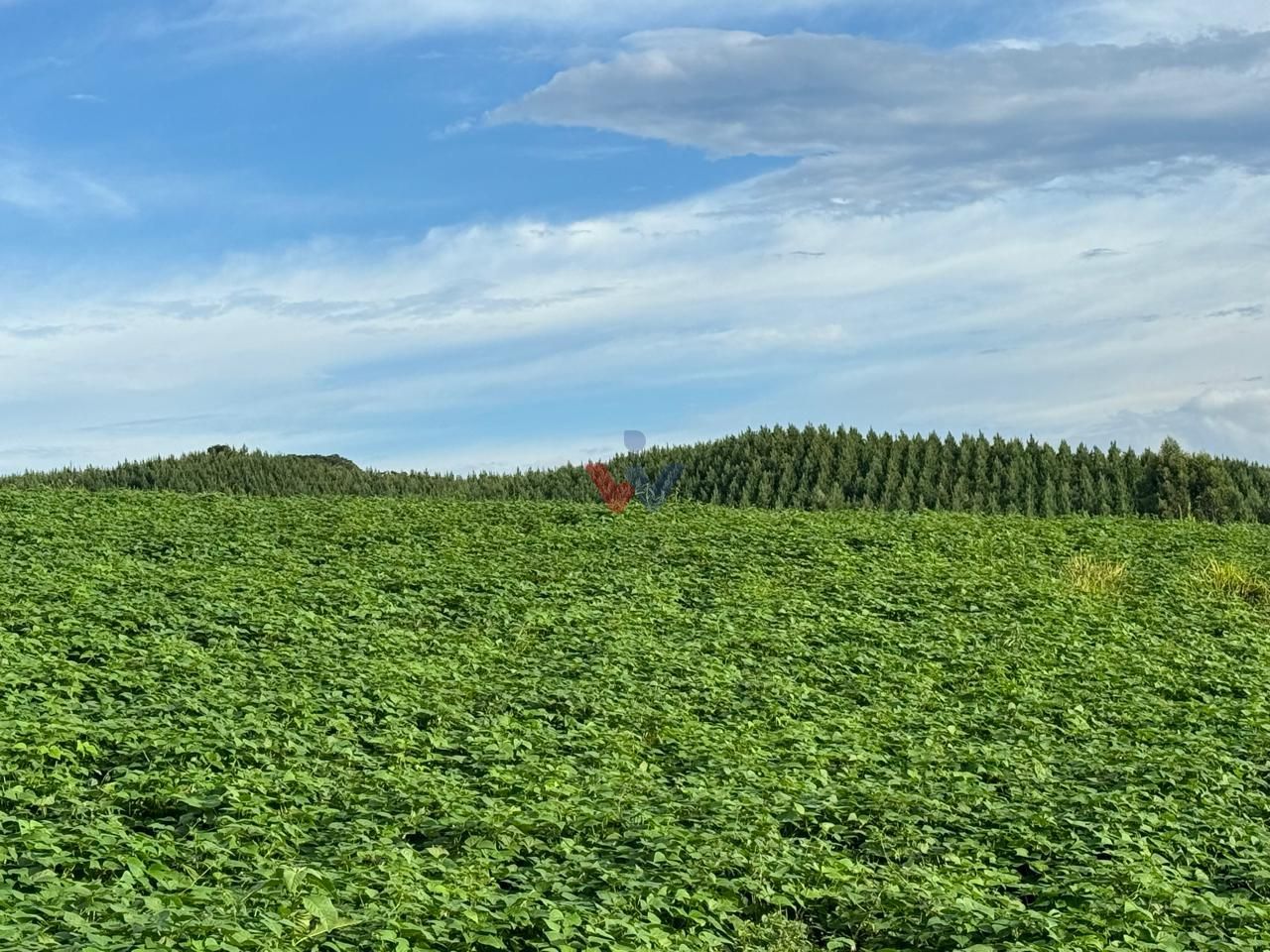 Chácara Completa com Casa, Varanda Gourmet, Tanques de Peixe, ...