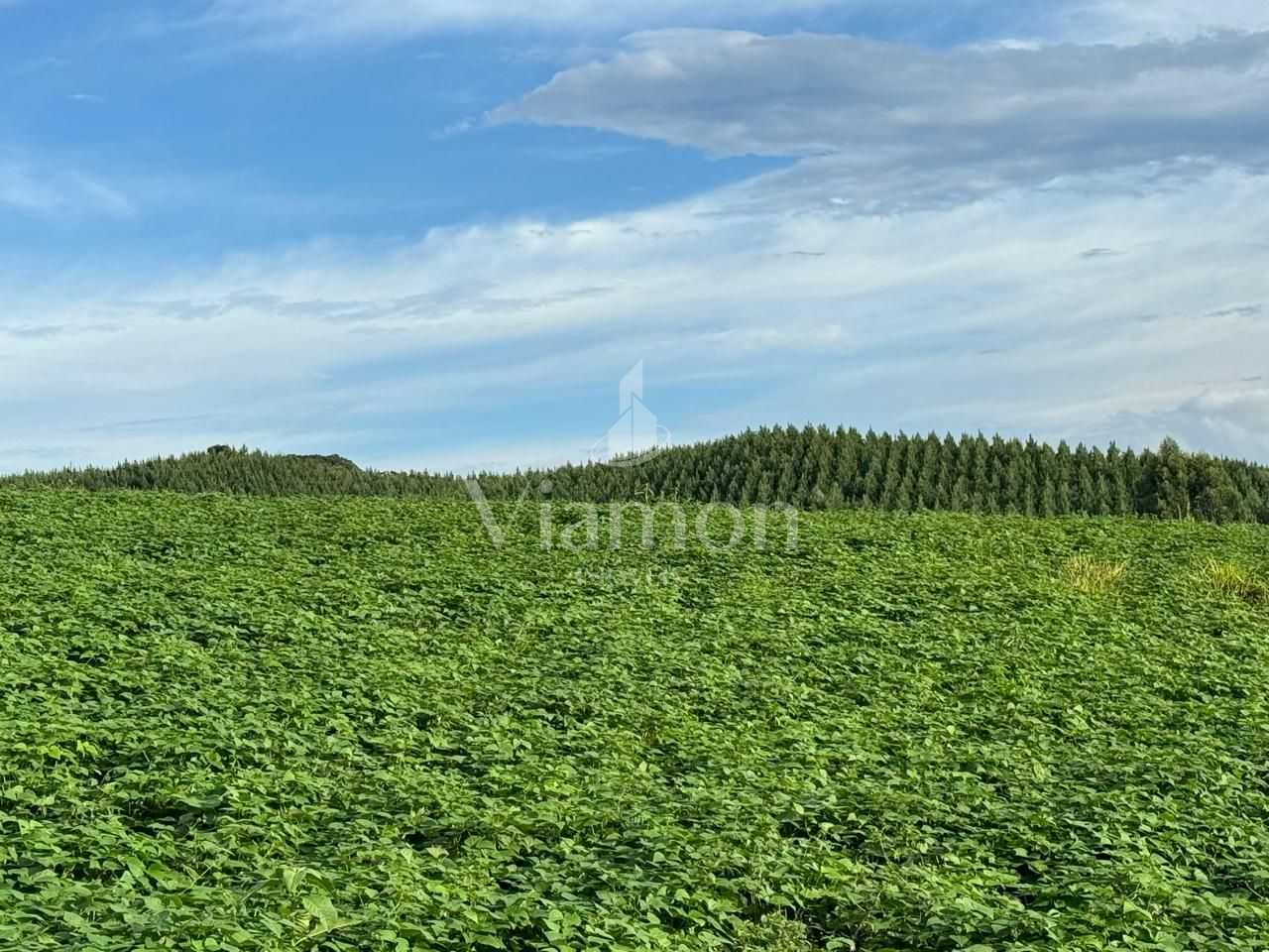 Chácara Completa com Casa, Varanda Gourmet, Tanques de Peixe, ...