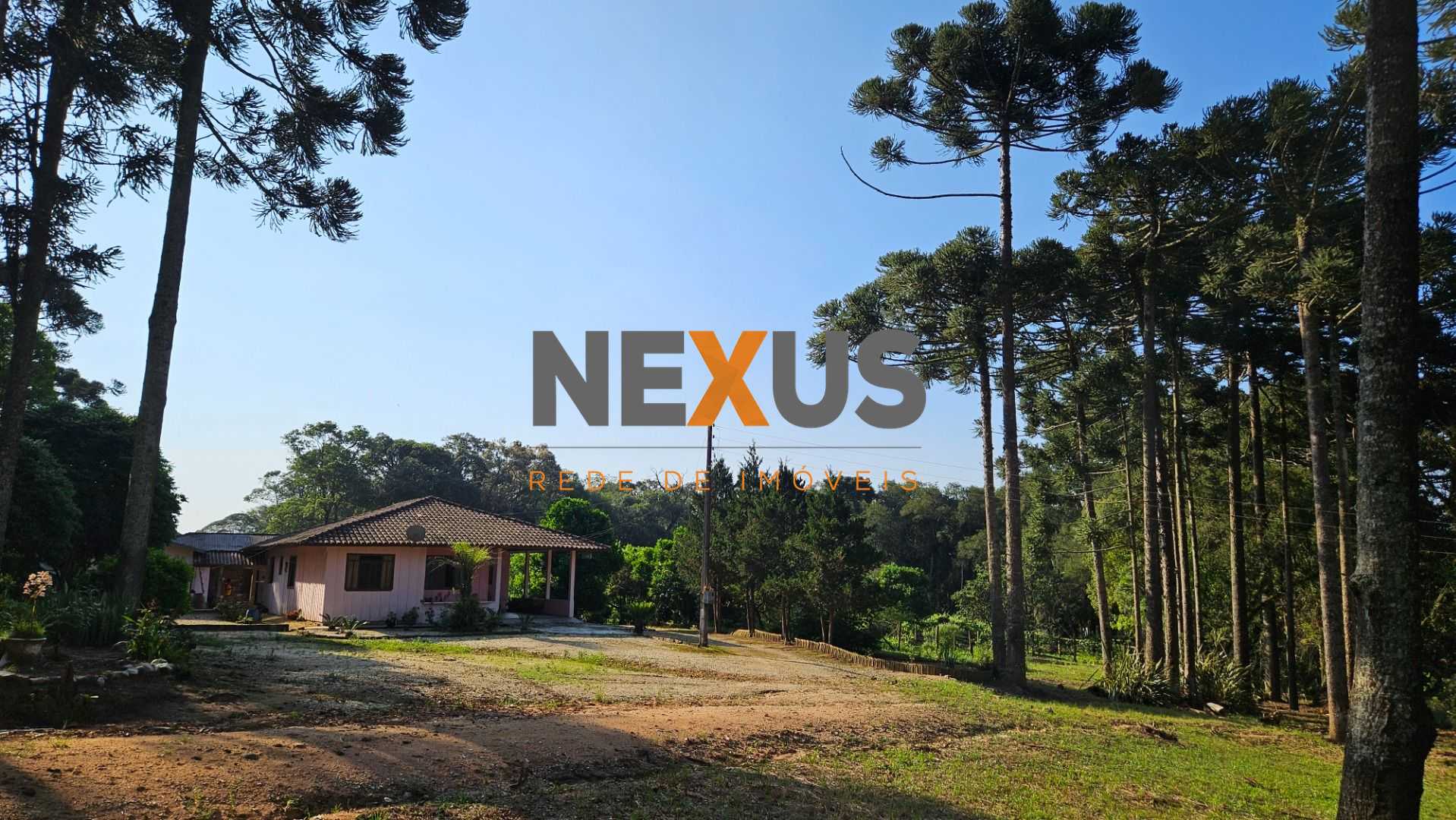 Chácara com Hortas, Parreiral e Árvores Frutíferas a 10 km da BR