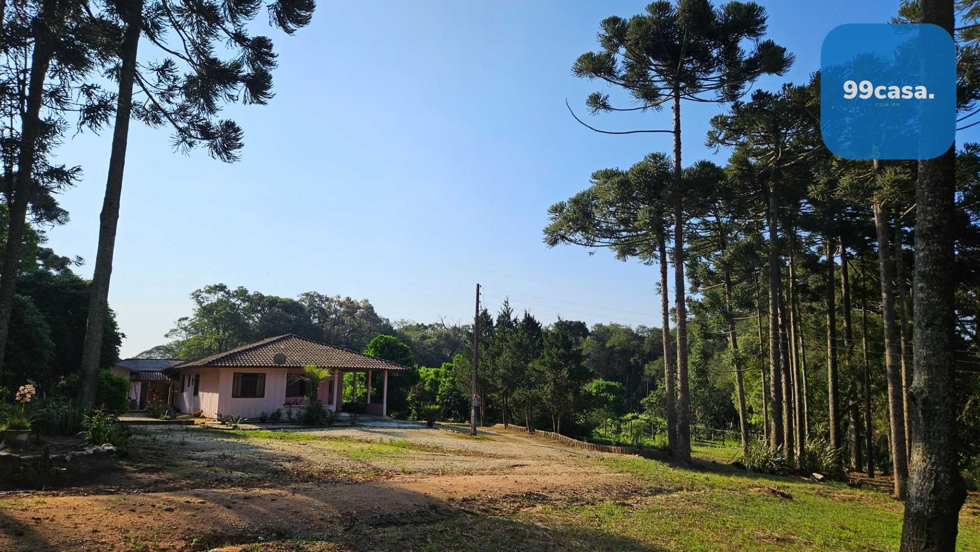 Chácara com Hortas, Parreiral e Árvores Frutíferas a 10 km da BR