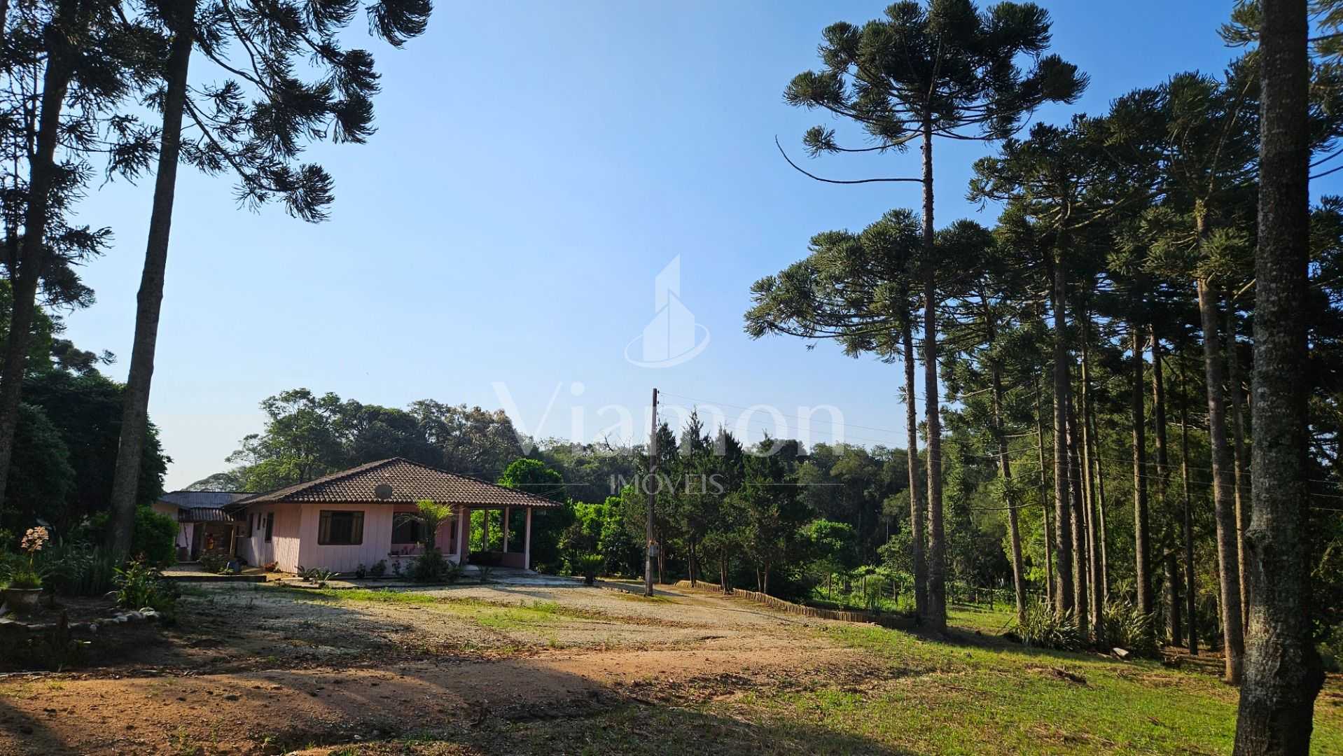 Chácara com Hortas, Parreiral e Árvores Frutíferas a 10 km da BR
