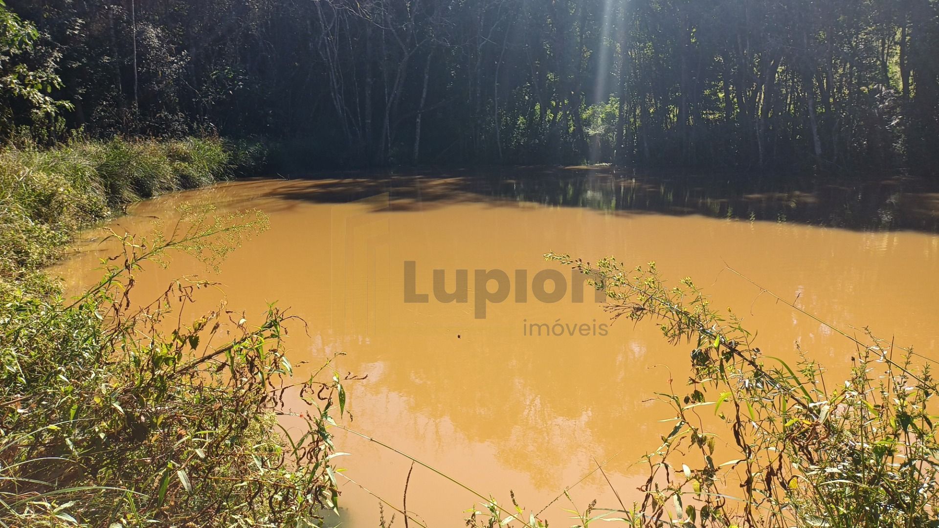 Chácara dos Sonhos em Araucária  24.300m  de Natureza e Tranqu...