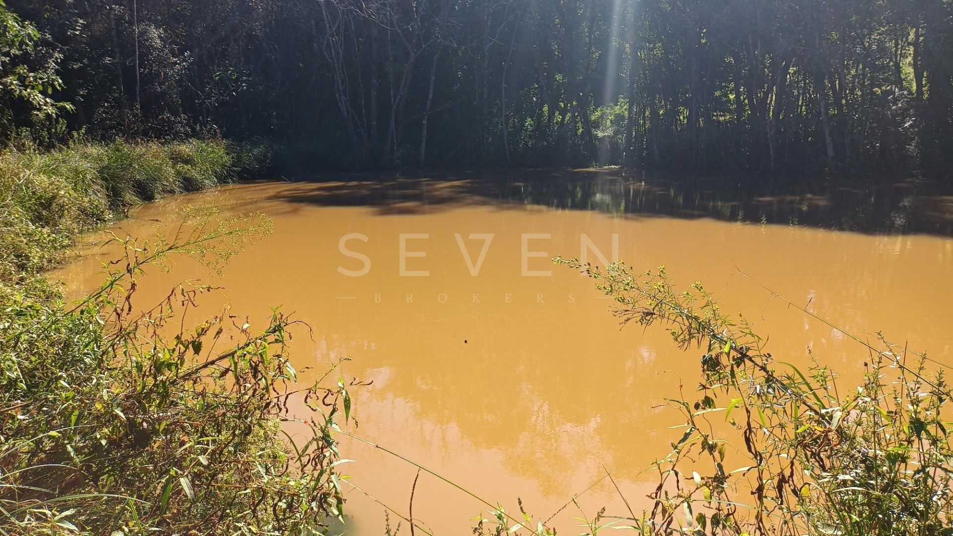 Chácara dos Sonhos em Araucária  24.300m  de Natureza e Tranqu...