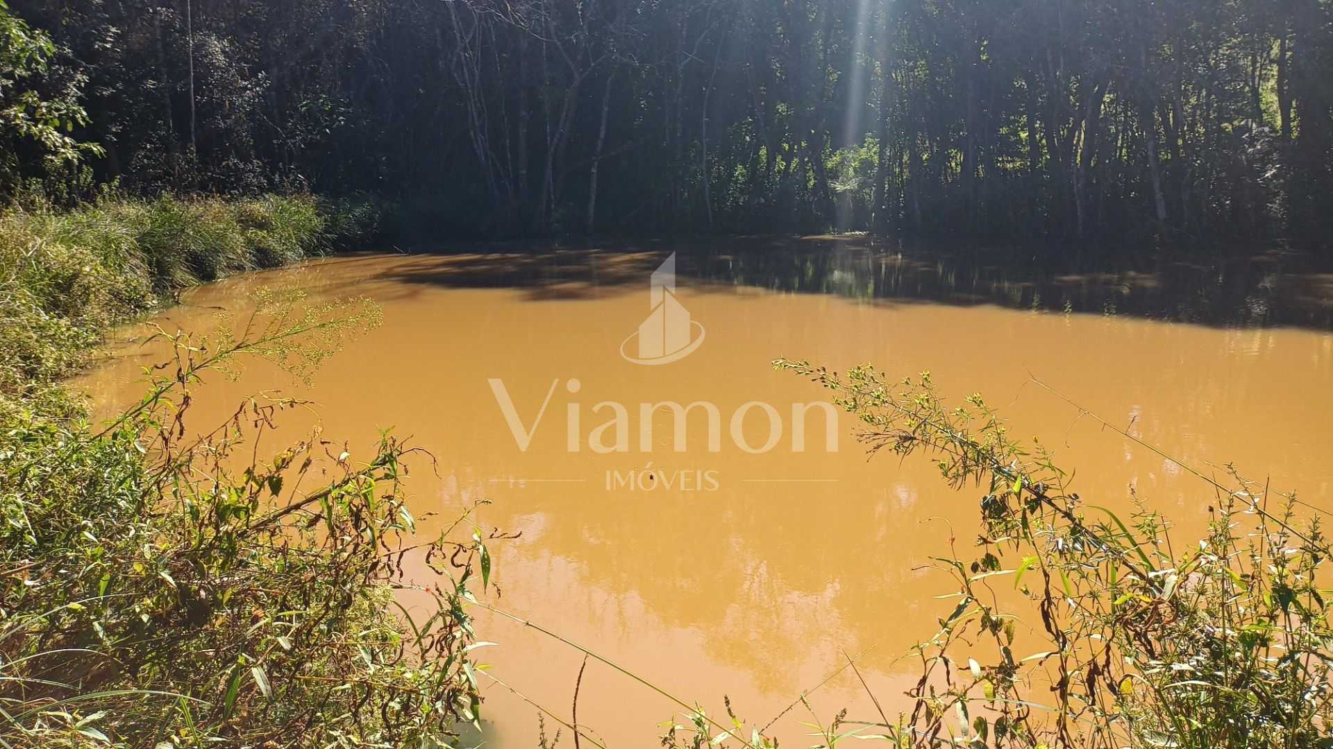 Chácara dos Sonhos em Araucária  24.300m  de Natureza e Tranqu...