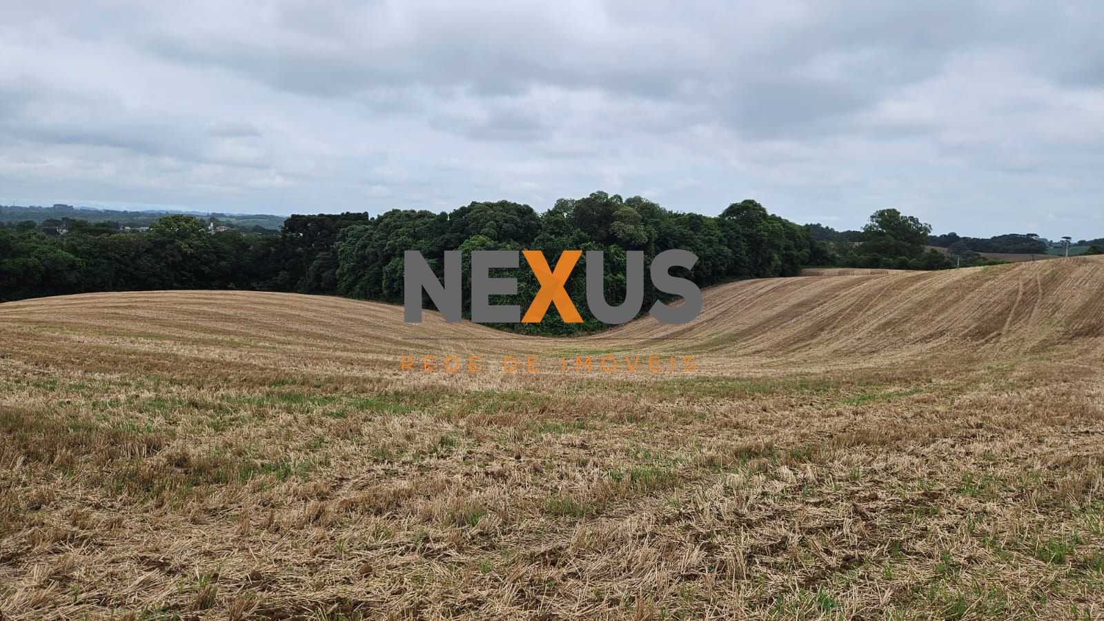 Oportunidade em Araucária  de 67.700 m  de frente para o asfalto