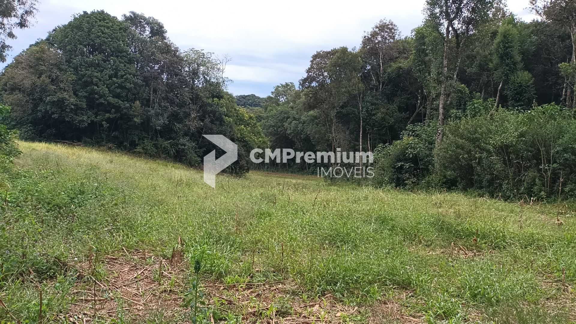 Chácara dos Sonhos em Araucária  24.300m  de Natureza e Tranqu...